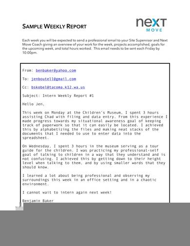 email report sample